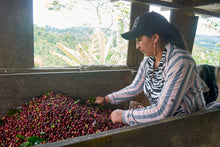 Colombia ASMUCAFE Seasonal Espresso