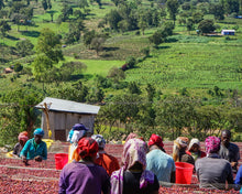 Ethiopia Kayon Mountain Farm