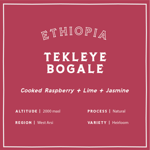 Ethiopia Tekleye Bogale