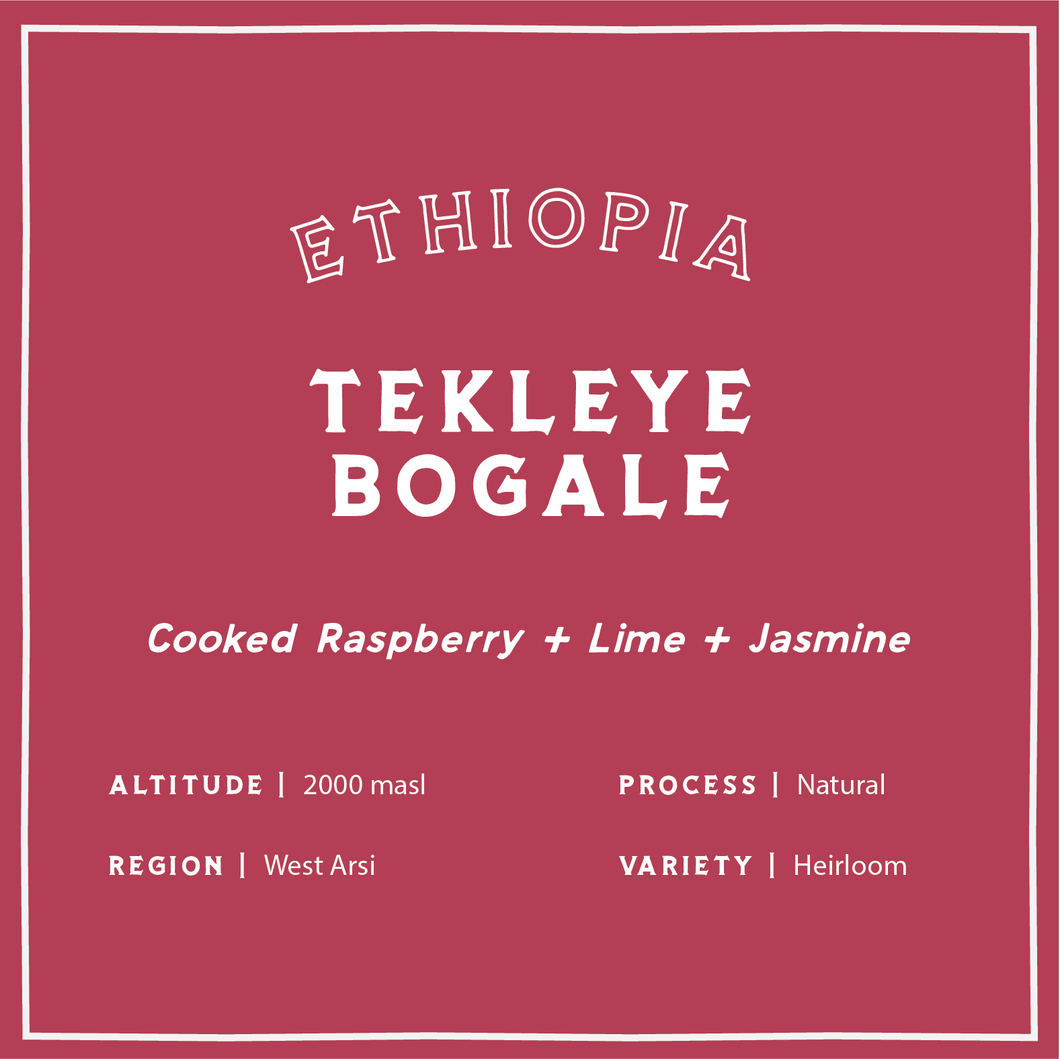 Ethiopia Tekleye Bogale