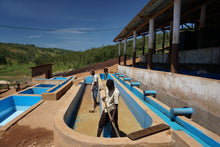Burundi Gahahe